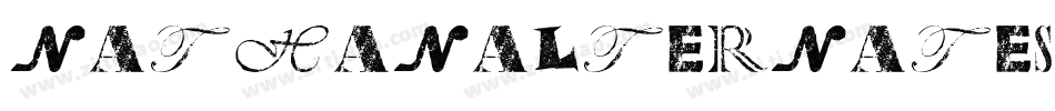 NathanAlternatesSemiExpandedRegular-jRav字体转换