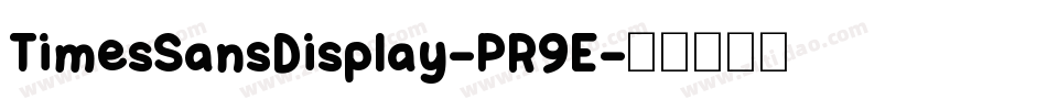 TimesSansDisplay-PR9E字体转换