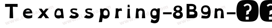 Texasspring-8B9n字体转换