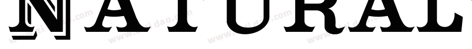 NaturalTechnologies-wdZx字体转换