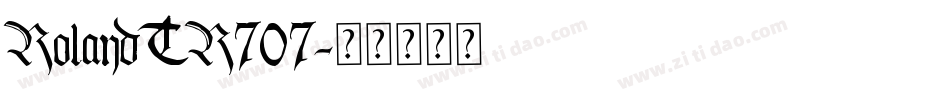 RolandTR707字体转换
