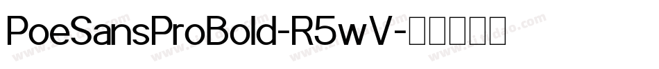 PoeSansProBold-R5wV字体转换
