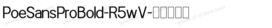 PoeSansProBold-R5wV字体转换