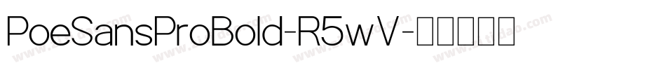 PoeSansProBold-R5wV字体转换