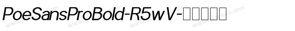 PoeSansProBold-R5wV字体转换