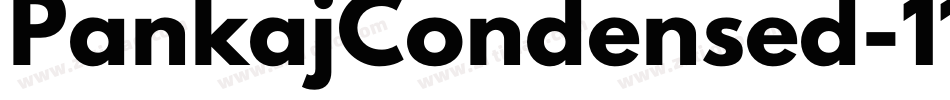 PankajCondensed-11wL字体转换