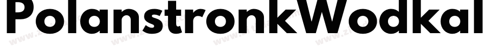 PolanstronkWodkaItalic-aJyR字体转换