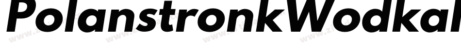 PolanstronkWodkaItalic-aJyR字体转换
