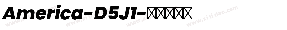America-D5J1字体转换