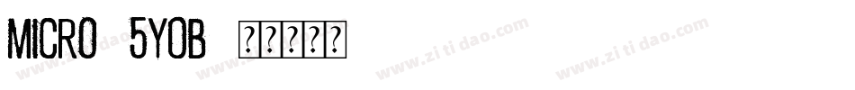 Micro-5y0B字体转换
