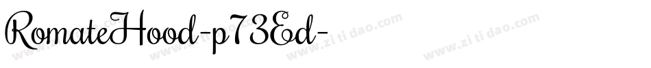 RomateHood-p73Ed字体转换