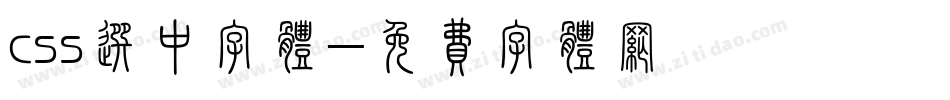 css选中字体字体转换