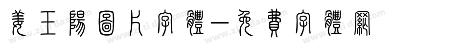 姜玉阳图片字体字体转换