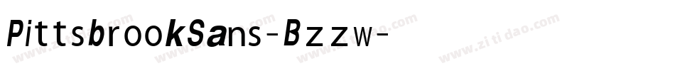 PittsbrookSans-Bzzw字体转换