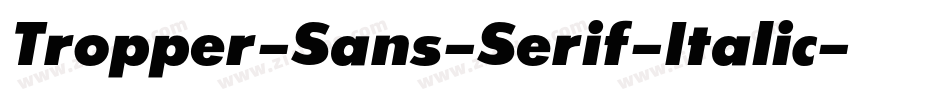 Tropper-Sans-Serif-Italic字体转换