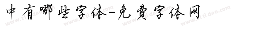中有哪些字体字体转换