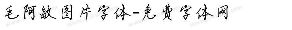 毛阿敏图片字体字体转换