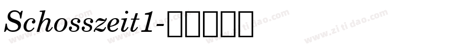 Schosszeit1字体转换