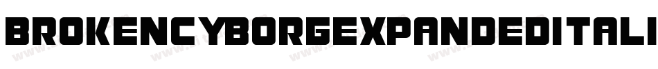 BrokenCyborgExpandedItalic-yRpm字体转换