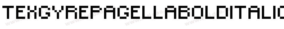 TexgyrepagellaBolditalic-4EjW字体转换