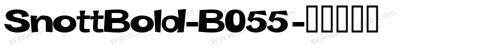 SnottBold-B055字体转换