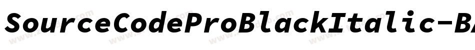 SourceCodeProBlackItalic-BA9B字体转换