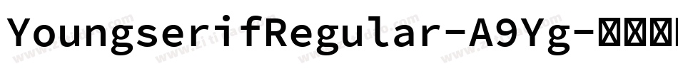 YoungserifRegular-A9Yg字体转换