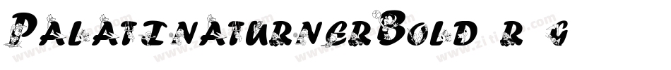PalatinaturnerBold-r4g9字体转换 PalatinaturnerBold-r4g9字体转换
