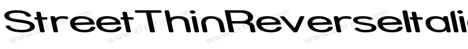 StreetThinReverseItalic-ER8字体转换
