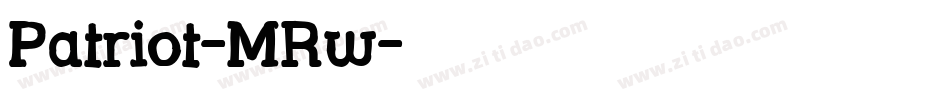 Patriot-MRw字体转换 Patriot-MRw字体转换