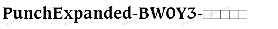PunchExpanded-BW0Y3字体转换