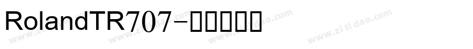 RolandTR707字体转换