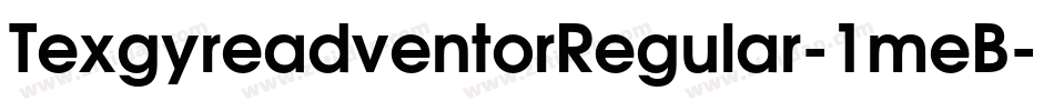 TexgyreadventorRegular-1meB字体转换