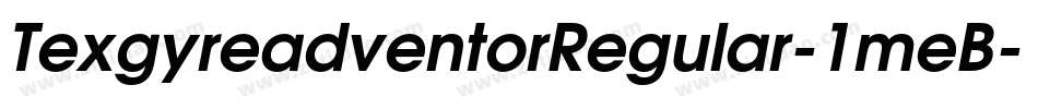 TexgyreadventorRegular-1meB字体转换