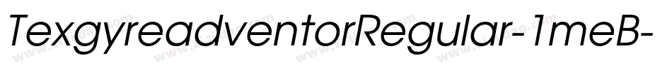 TexgyreadventorRegular-1meB字体转换