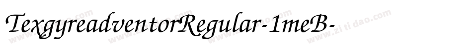 TexgyreadventorRegular-1meB字体转换