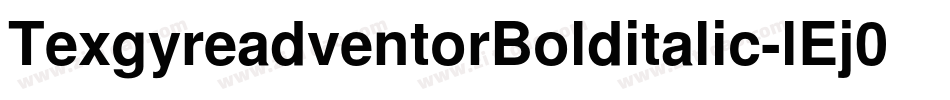 TexgyreadventorBolditalic-lEj0字体转换