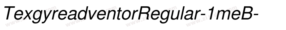 TexgyreadventorRegular-1meB字体转换