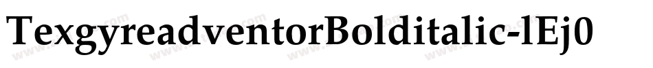 TexgyreadventorBolditalic-lEj0字体转换