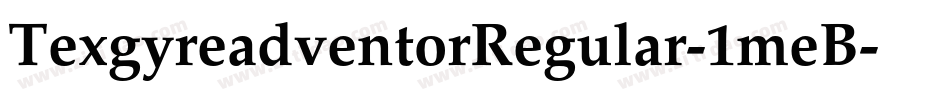 TexgyreadventorRegular-1meB字体转换