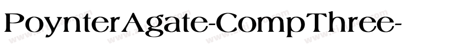 PoynterAgate-CompThree字体转换