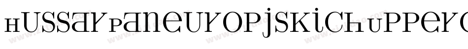 HussarPaneuropjskichUppercaseOblique-PLrm字体转换