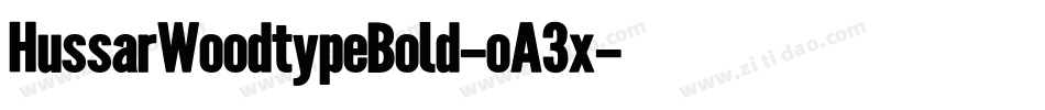 HussarWoodtypeBold-oA3x字体转换