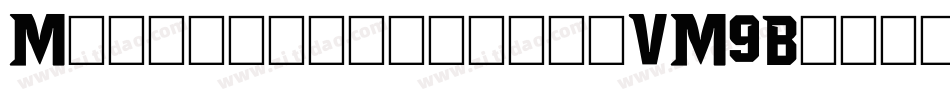 Meltingregular-VM9B字体转换