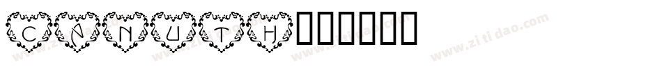 Canuth字体转换