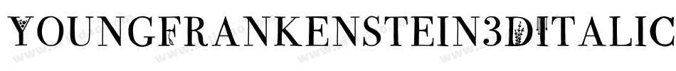 YoungFrankenstein3DItalic-WE7v字体转换