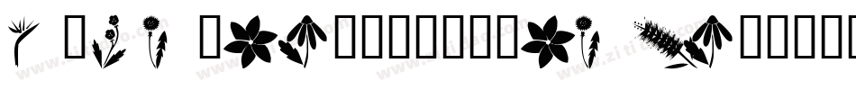 crimson_text_roman字体转换
