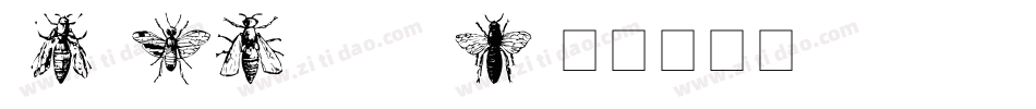Insect-POyg字体转换