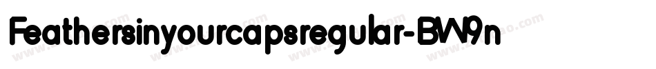 Feathersinyourcapsregular-BW9n字体转换