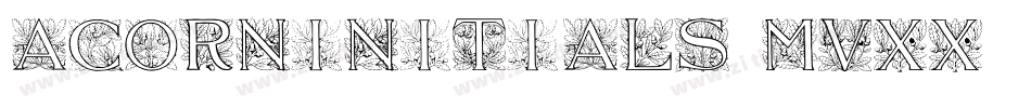 AcornInitials-MVxx字体转换